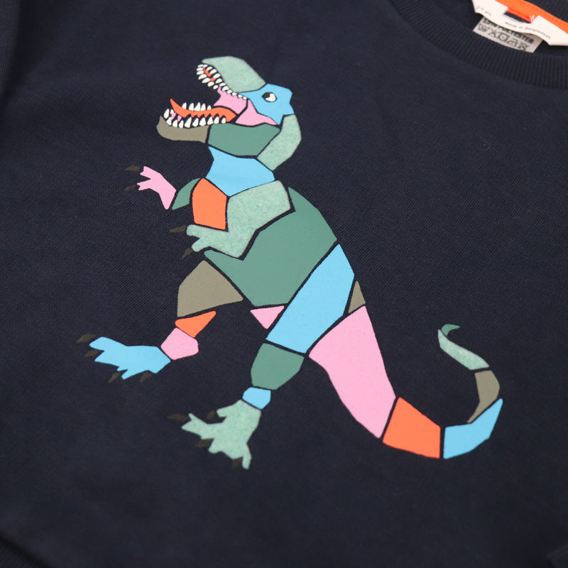 Dinosaur Sweater BNWOT (multiple sizes)